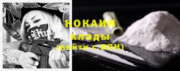твердый Козельск