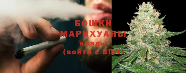 твердый Козельск