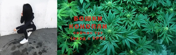 твердый Козельск