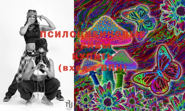 таблы Кодинск