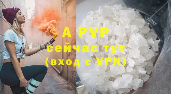 твердый Козельск