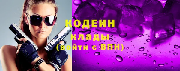 твердый Козельск