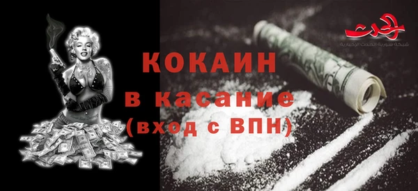 твердый Козельск