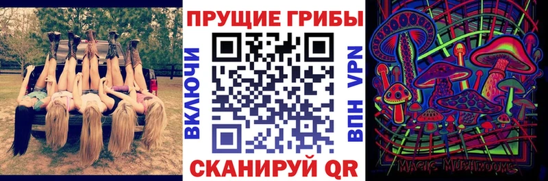 Галлюциногенные грибы Cubensis Купить закладки Гатчина